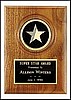 Star Medallion Plaque (5"x7")